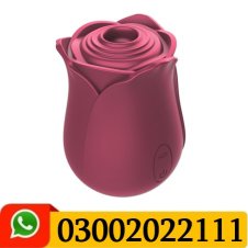New Rose Suction Vibrator Toy