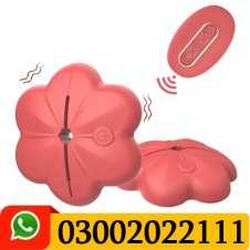 Nipple Vibrator Breast Clamp Sucker With Control
