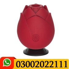 Rose Suction Vibrator With 9 Powerful Frequency